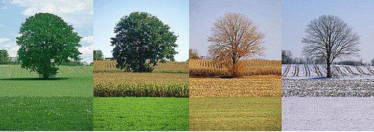 赛朋风2.5D动作游戏《Quantic River》公布 登陆PC