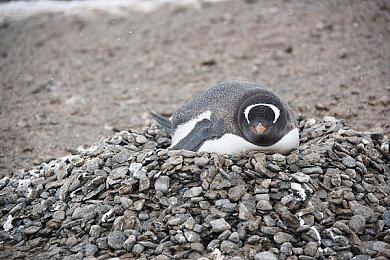 《Hi-Fi RUSH》好评率98% 评价人数破万